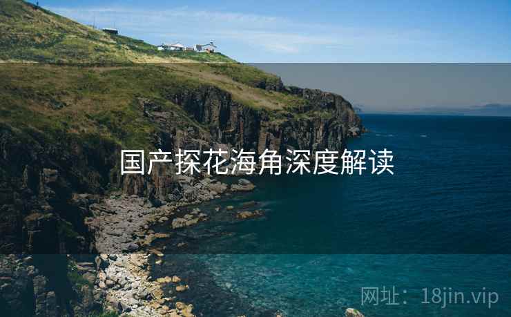 国产探花海角深度解读
