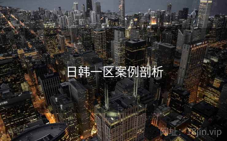 日韩一区案例剖析