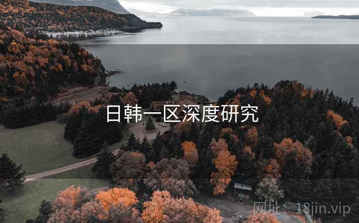 日韩一区深度研究