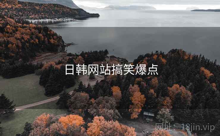 日韩网站搞笑爆点