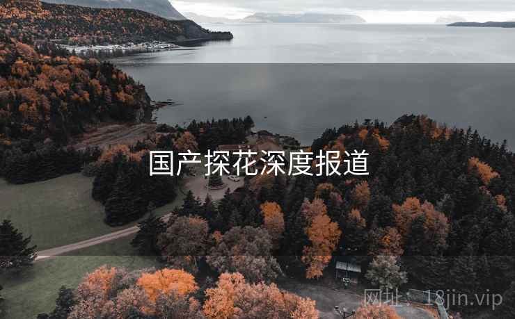 国产探花深度报道