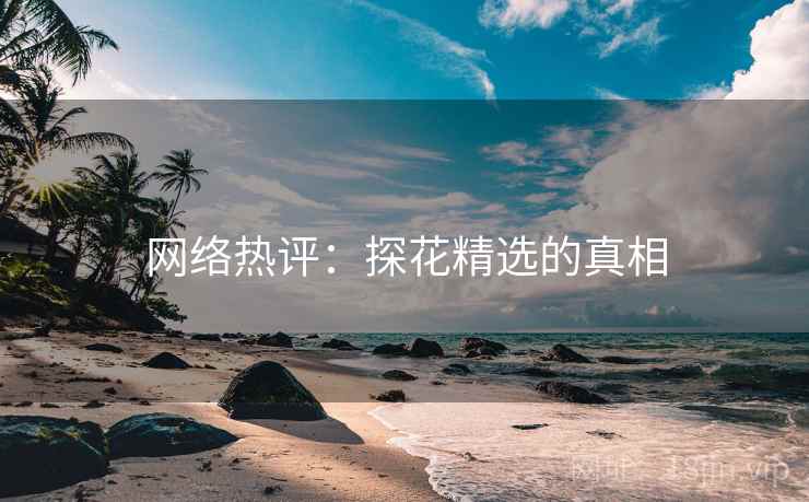 网络热评：探花精选的真相