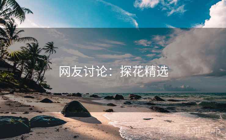 网友讨论：探花精选