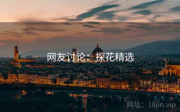 网友讨论：探花精选