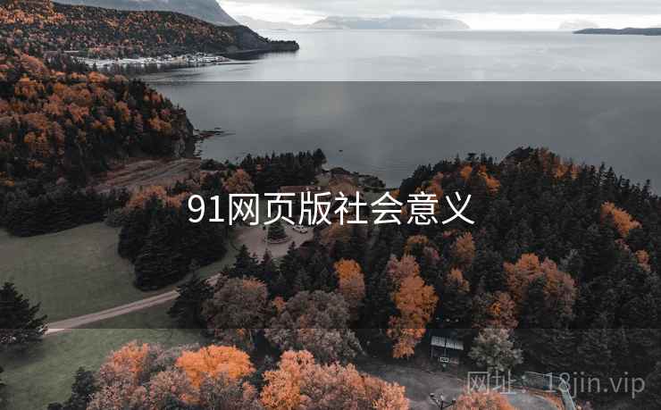 91网页版社会意义