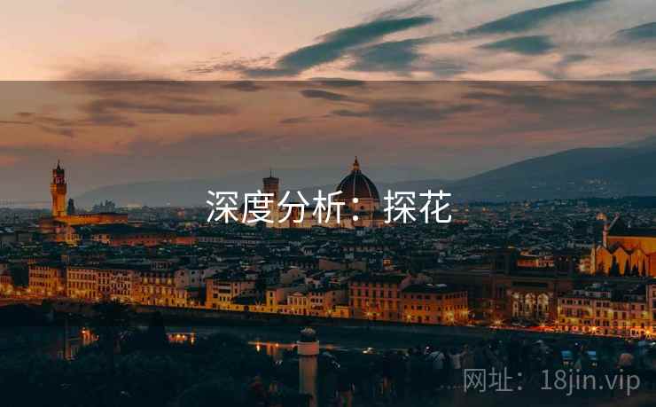 深度分析：探花