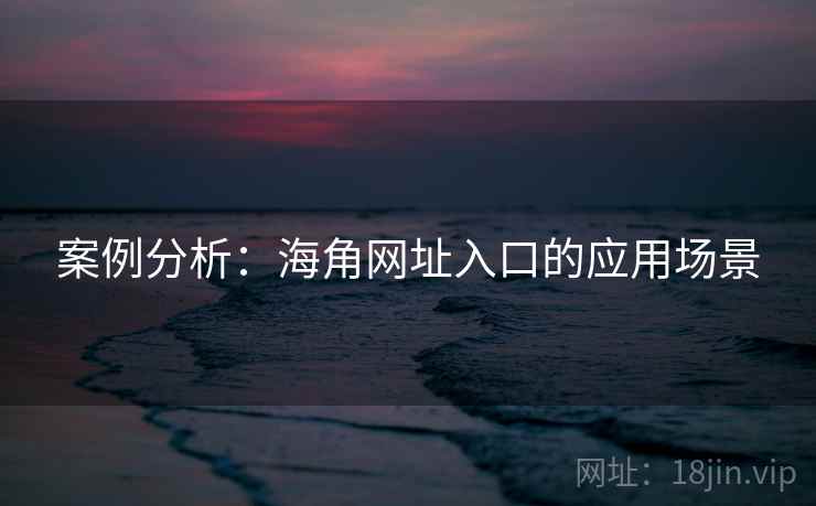 案例分析：海角网址入口的应用场景