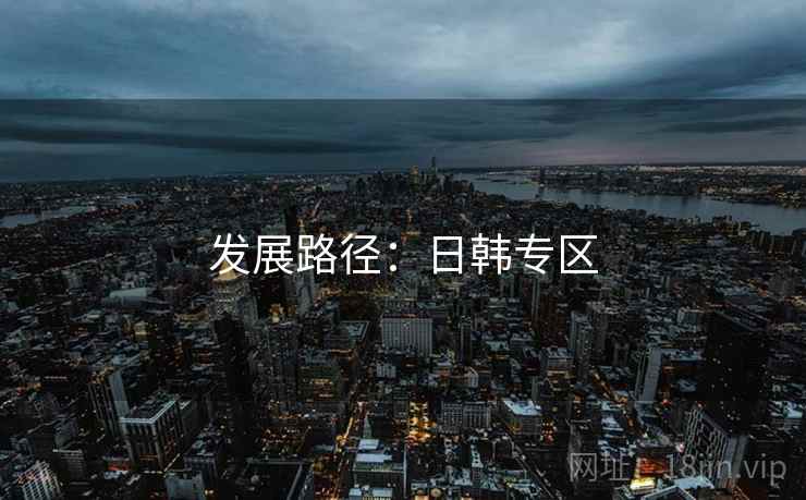 发展路径：日韩专区