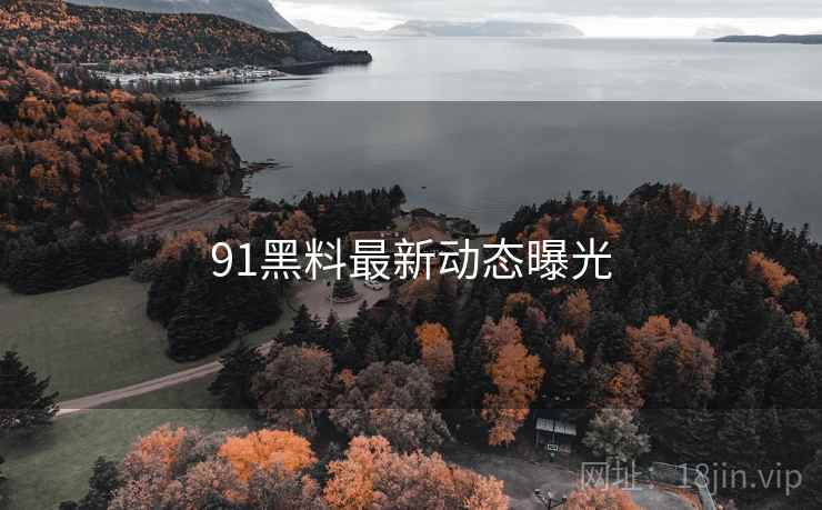 91黑料最新动态曝光