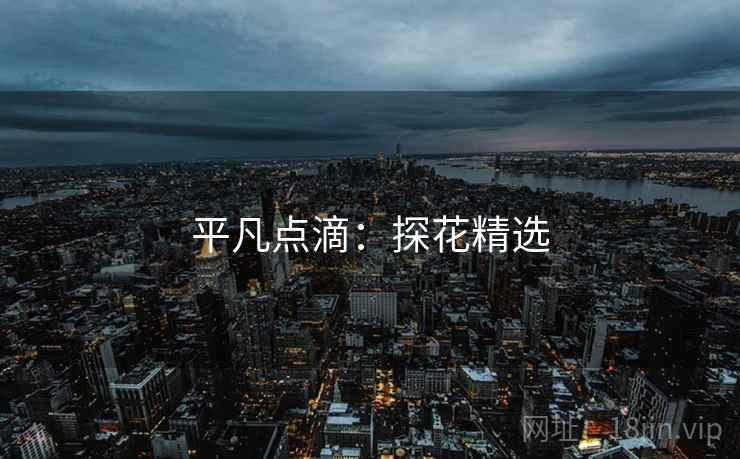 平凡点滴：探花精选