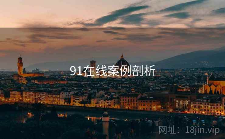 91在线案例剖析