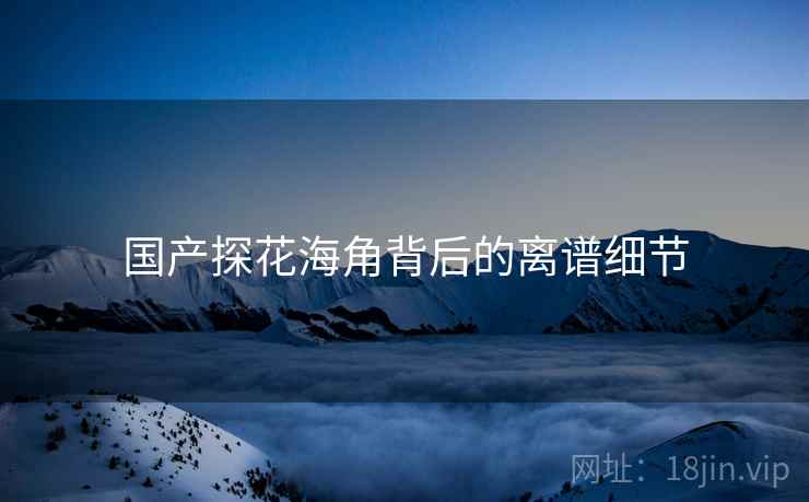 国产探花海角背后的离谱细节