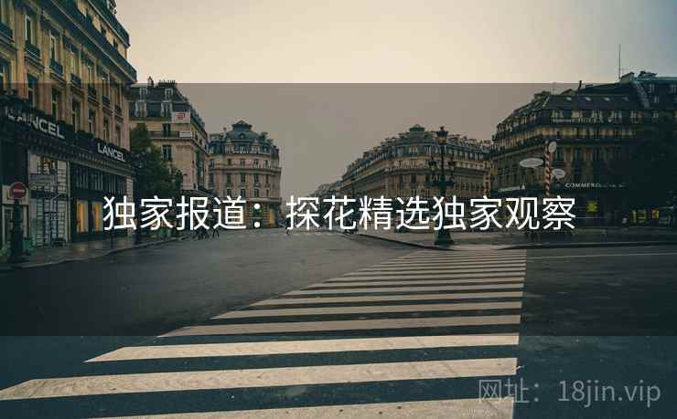 独家报道：探花精选独家观察