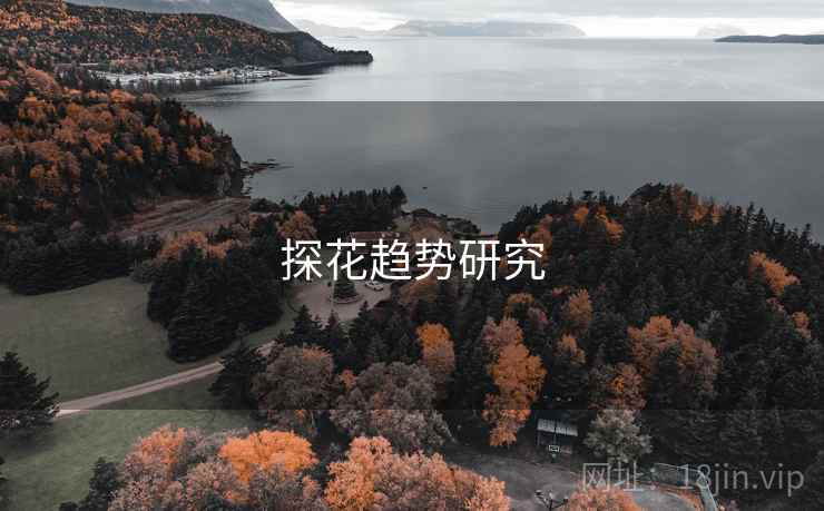 探花趋势研究
