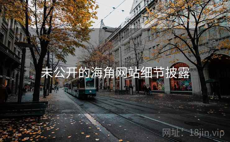 未公开的海角网站细节披露